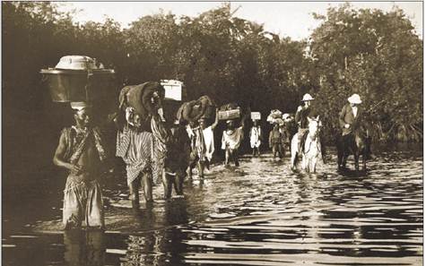 Historia del DENGUE